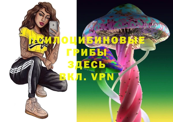 хмурый Абинск