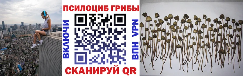 Псилоцибиновые грибы Magic Shrooms  darknet состав  Усть-Катав 